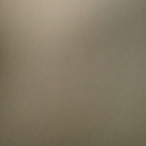 Meet your Posher, Shauna